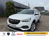 Opel Grandland INNOVATION 1.2 Turbo Rückfahrkamera+Si - Opel Grandland (X) in Rostock