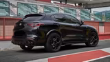 Alfa Romeo Stelvio Quadrifoglio 2.9 V6 Bi-Turbo AT8 Q4 - Alfa Romeo Gebrauchtwagen in Karlsruhe