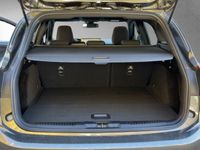 Ford Focus - Vorschau Bild 14