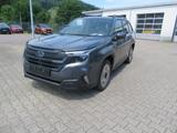 Subaru Forester 2.0ie Active Memory Sitze 360 Kamera LE - scheckheftgepflegte Subaru Forester