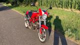 Ducati Monster S2R 1000 - DUCATI MONSTER 1000S