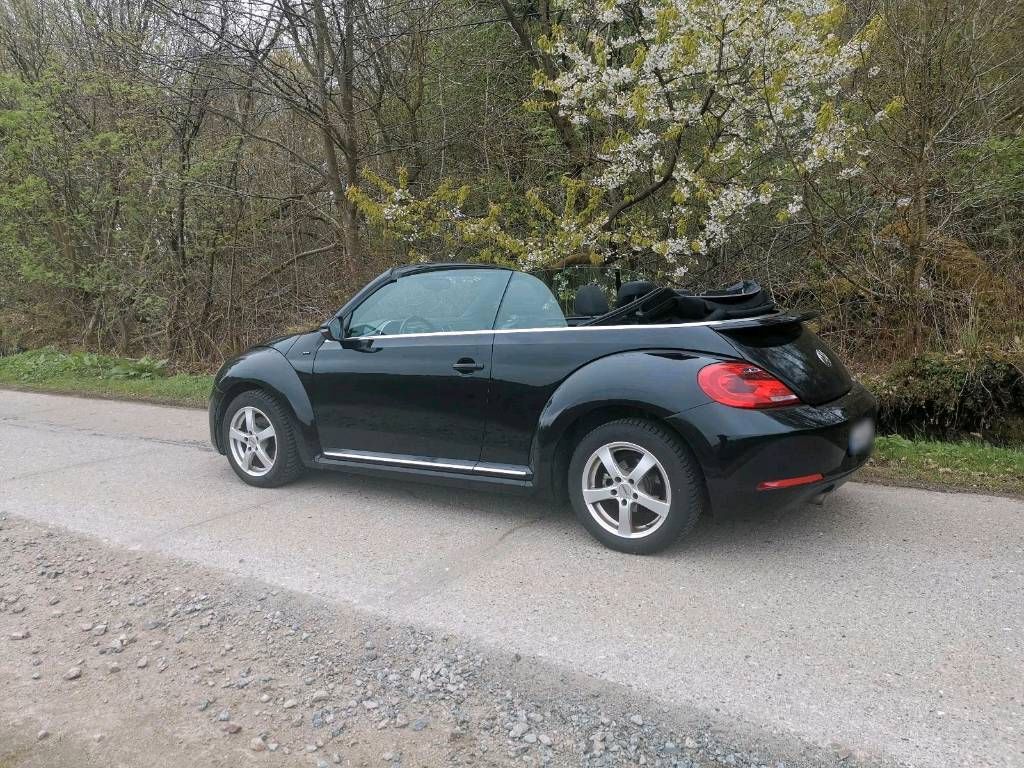 VW Beetle