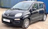 Fiat New Panda 1.3 16V Multijet LOUNGE  *KLIMA* - Fiat New Panda Diesel Gebrauchtwagen