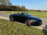 Audi TT RS Roadster TOP Zustand ohne OPF  - Audi TT RS aus 2018