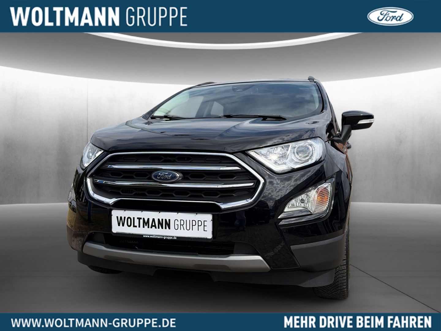Fahrzeugabbildung Ford EcoSport Titanium, Navi, Sitzheizung, Ganzjahres