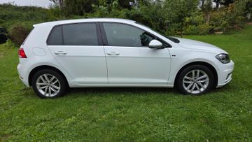 Volkswagen Golf - 5