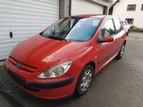 Peugeot 307 1,6 Tüv 02-2028 - Peugeot 307 aus 2001