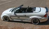 Mercedes-Benz CLK 55AMG W209 Cabrio DTM Breitbau Einzels... - Mercedes-Benz CLK DTM AMG