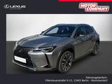 Lexus UX 250h FWD STYLE EDITION  *AHK* - Lexus UX aus 2020