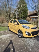 Kia Picanto (TA) Vision - Kia Picanto TA