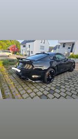 Ford Mustang GT  5.0  Us-Import 466 PS - Ford Mustang: Us