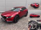 Mazda CX-30 Skaycativ-G 150PS 6AG Homura - Mazda CX-30: Limousine