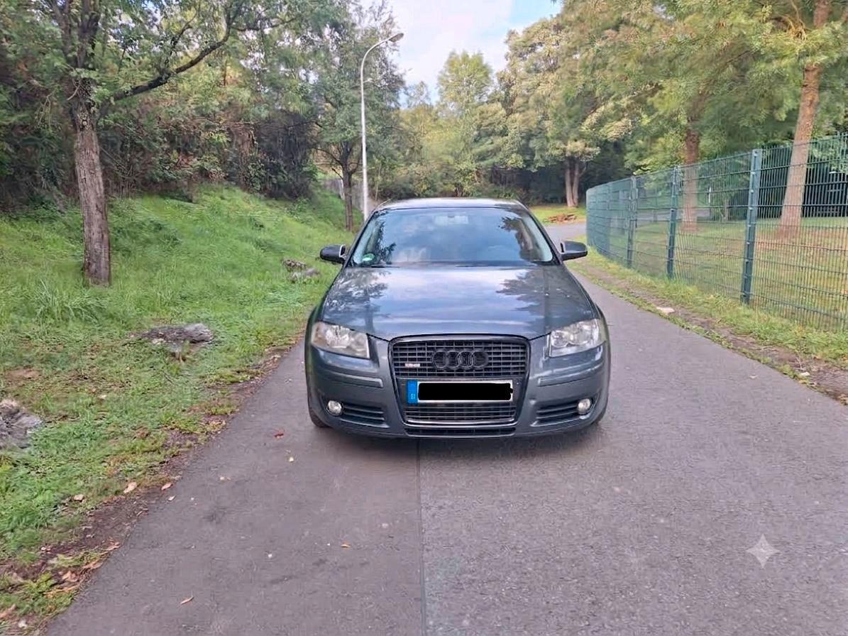 Audi A3 2006 — вигляд ззаду