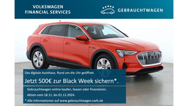 Audi e-tron Basis quattro 50 230kW 1-Gang Automatik 4