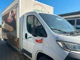 Fiat Ducato Verkaufsfahrzeug / Foodtruck  - Pkw-Anhänger Verkauf