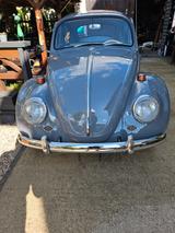 Volkswagen Käfer - graue Volkswagen Käfer