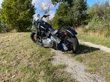 Harley-Davidson Softail Slim - Harley-Davidson Motorräder in Kassel