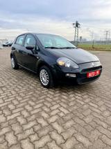Fiat Punto More - gebrauchte Fiat Punto aus dem Jahr 2012