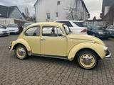 Volkswagen Käfer 1302 - Volkswagen Käfer: 1302