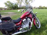 Suzuki 800 Intruder - Angebote entsprechen deinen Suchkriterien
