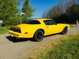 Pontiac Firebird Trans Am  - Pontiac: Am