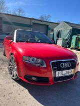 Audi A4 3.0 TDI (DPF) tiptr. quattro Cabriolet - - Audi A4: Rot, Cabrio