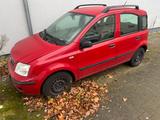 Fiat Panda ohne tüv - Fiat Panda Gebrauchtwagen in Bremen