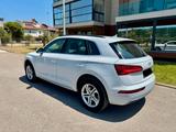 Audi Q5 40 TDI S tronic quattro design Pano/Schiebed. - Audi Q5 in Gelsenkirchen