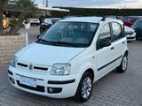 Fiat Panda 1.3 MJT 69cv Dynamic * Ok Neopatentat - Fiat Panda Dynamic mit Diesel-Antrieb