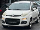 Fiat Panda Lounge Gewerbe/Export - gebrauchte Fiat Panda aus dem Jahr 2012