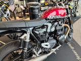 Triumph Speed Twin 1200, sofort verfügbar - TRIUMPH SPEED TWIN 1200