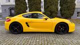 Porsche Cayman S S - Porsche: Gelb