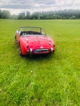 Austin Healey Andere - Austin Healey Gebrauchtwagen von 1960