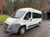 Fiat Ducato Hochr.-Kombi .9 Sitzer - Fiat Ducato in Dortmund