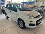 Fiat Panda (Pandina) 1.0 GSE Icon Hybrid - Fiat Panda in Hagen