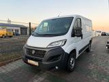 Fiat Ducato Kasten 30 120 L1H1 RS: 3000 mm - Fiat Ducato in Bonn