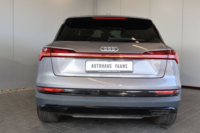 Audi e-tron 50 quattro LUFT+VIRTUAL+ACC+KAM+LEDER+AHK