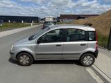 Fiat Panda 1.1 8V Active Klimaanlage Tüv bis 12.2027 - Fiat Panda aus 2006: Allradantrieb