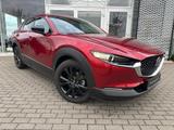 Mazda CX-30 Homura LogIn Spurhalteassi Sitzheizung Not - Mazda Neuwagen
