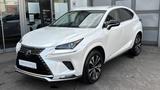 Lexus NX 300h 2,5 HEV FDW Style Edition *WKR - weiße Lexus NX 300