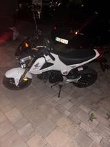Honda Msx125 Groom - HONDA MSX 125