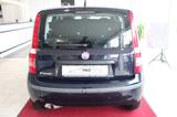 Fiat Panda 1.2 8V Dynamic AUTOMATIK - Fiat Panda Dynamic mit Benzin-Antrieb