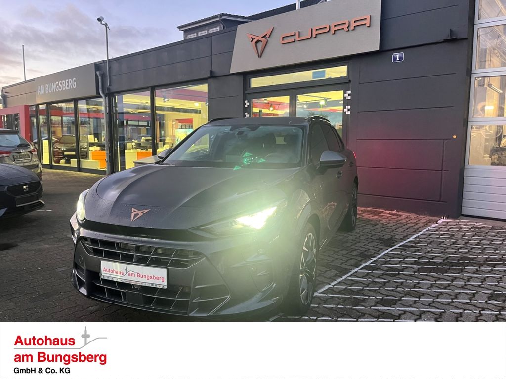 Cupra Terramar