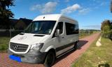 Mercedes-Benz Mercedes Sprinter NGT 2016 - Mercedes-Benz Sprinter mit CNG-Antrieb