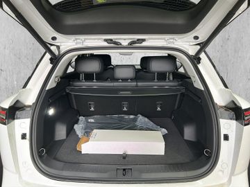 Andere JAECOO 7 1.6 TGDI AWD Exclusiv 360° LED SHZ ACC