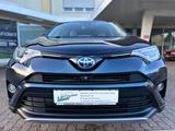 Toyota RAV4 Executive Hybrid LED Navi Leder Kamera Eu6 - mit Hybrid-Antrieb: Grün
