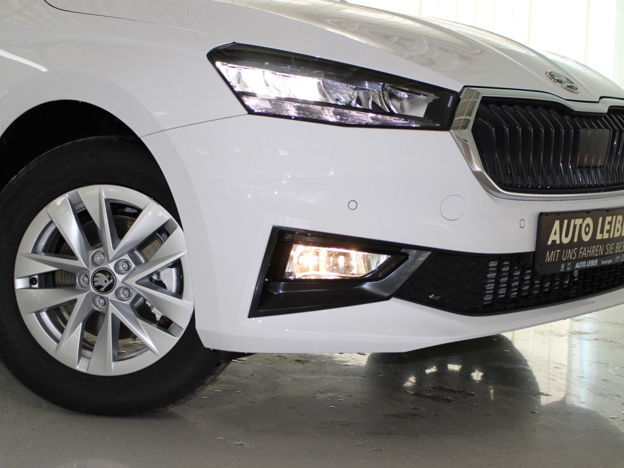 Fahrzeugabbildung SKODA Fabia 1.0 TSI Selection RFK/APP/SHZ/LANE