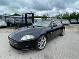 Jaguar XK8 4.2V8 219kw Cabrio Aut/Klima/Xenon - Jaguar XK8: Cabrio