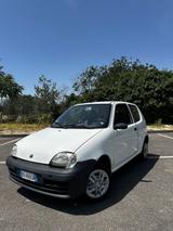 Fiat Seicento 1.1i cat Sporting - Fiat Seicento: Sporting