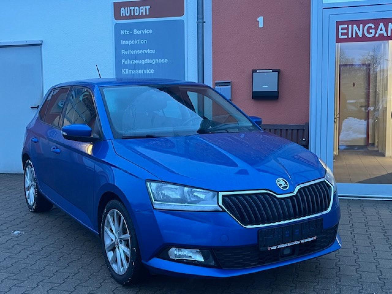Skoda Fabia SHZ. Navi. BC. PDC. 
